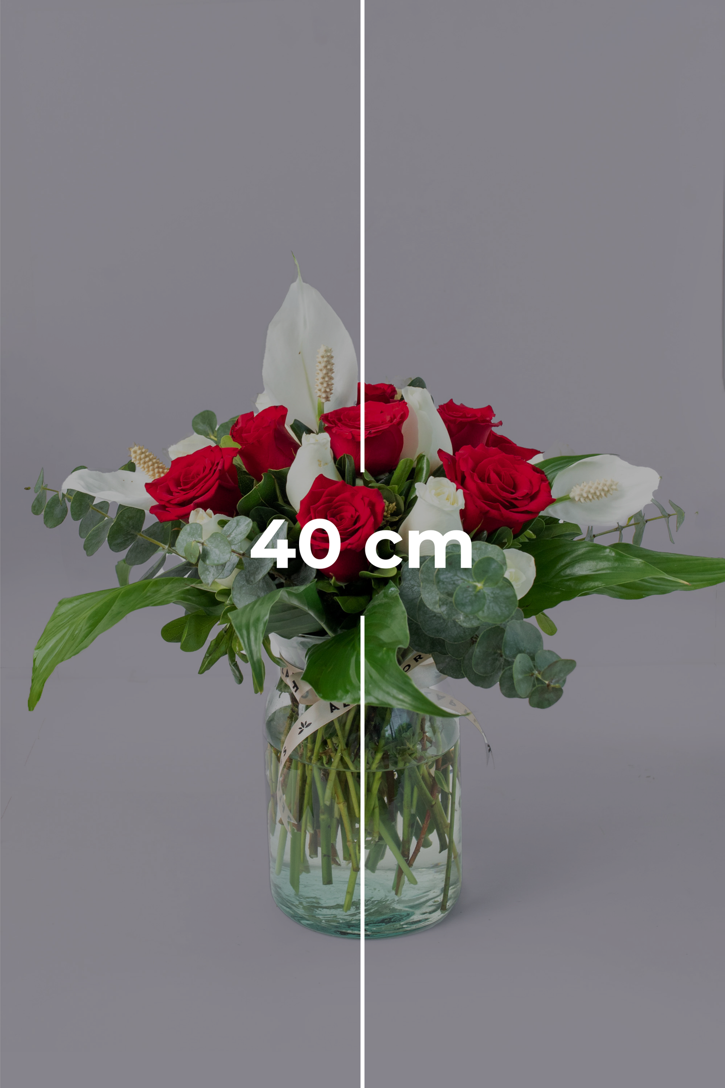 Tropical Air - (Red and White Rose with Moses Cradle) ENS