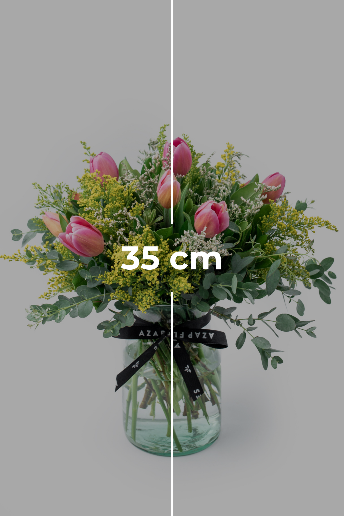 Amistad - Tulipanes CUL