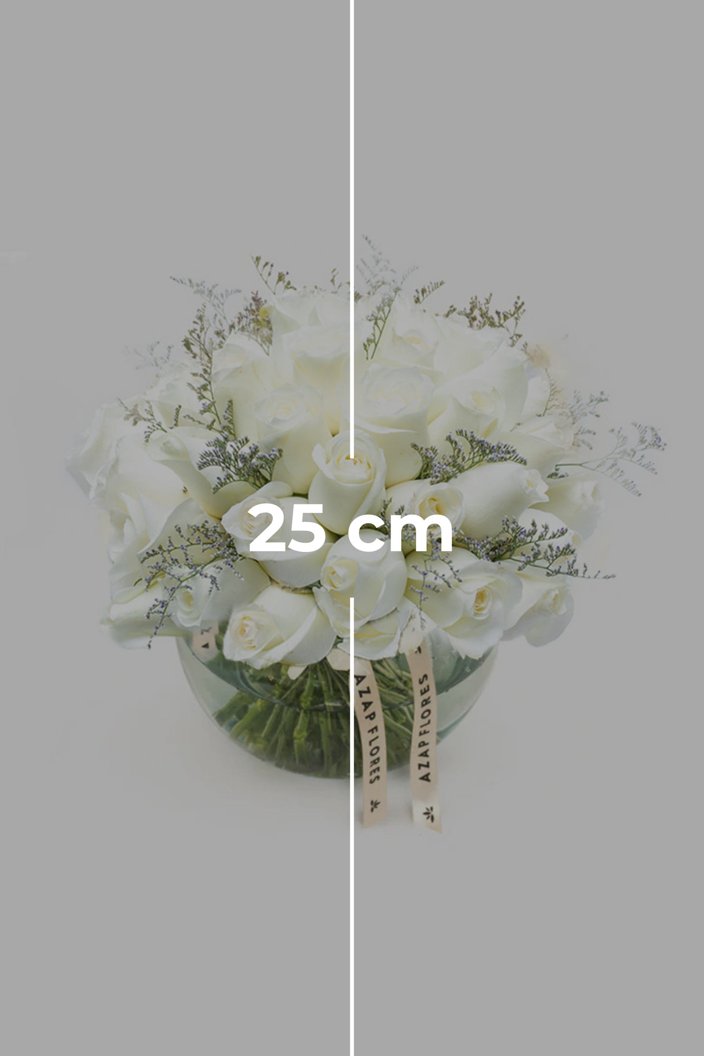 Para Siempre // Rosa Blanca en Pecera PYC