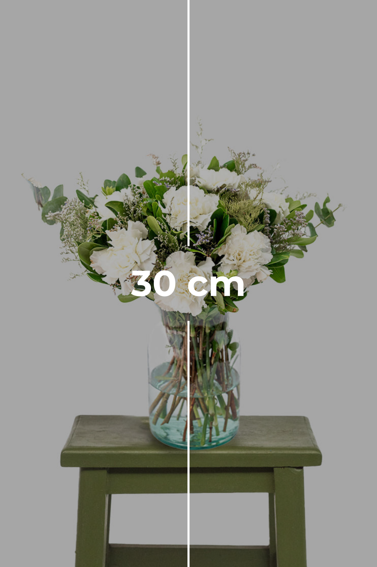 Rivera - (White Carnation)