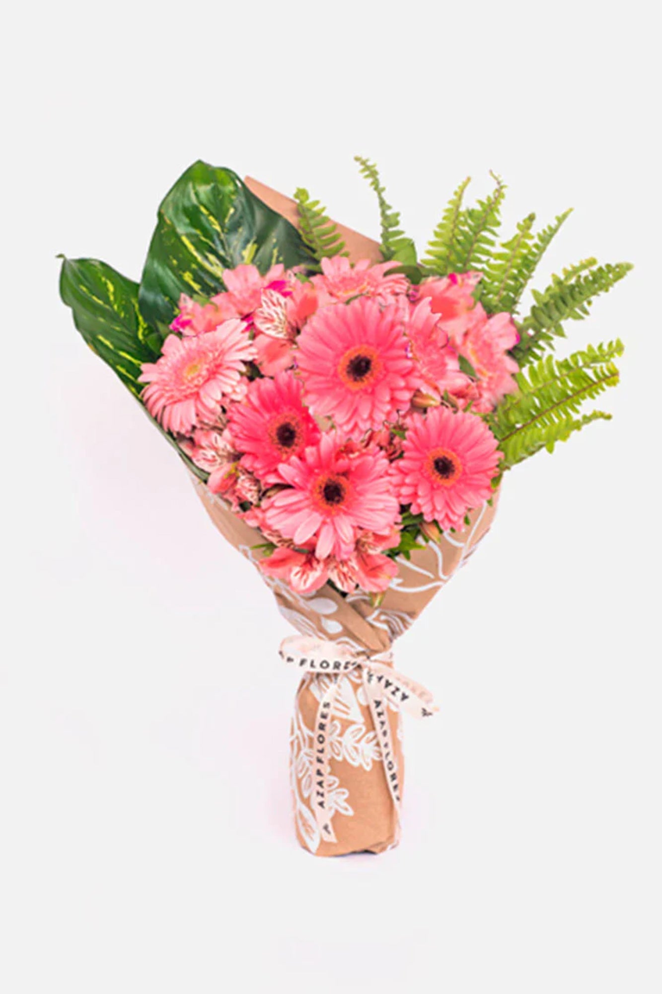 Inocencia - Gerbera Rosa VALLARTA