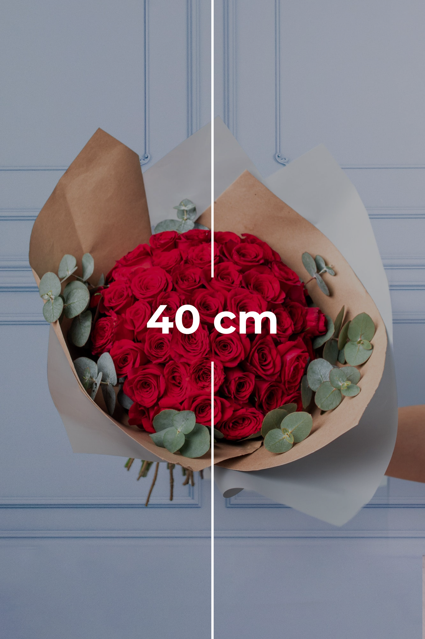 Ramo Buchón - 50 Rosas Rojas VALLARTA