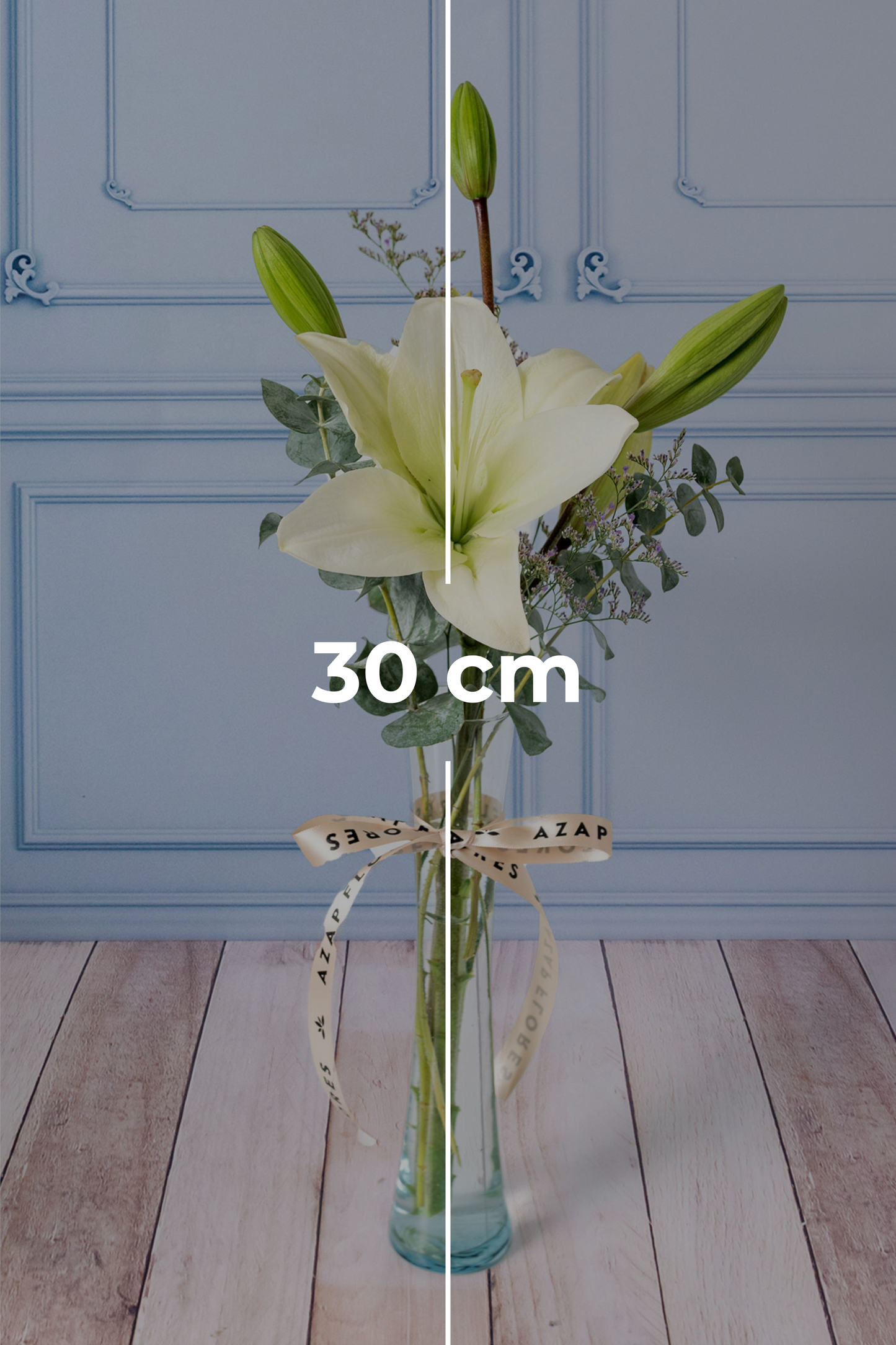 Algodoncito - 1 Lilium Blanca en Violetero PTO. ESCOND.