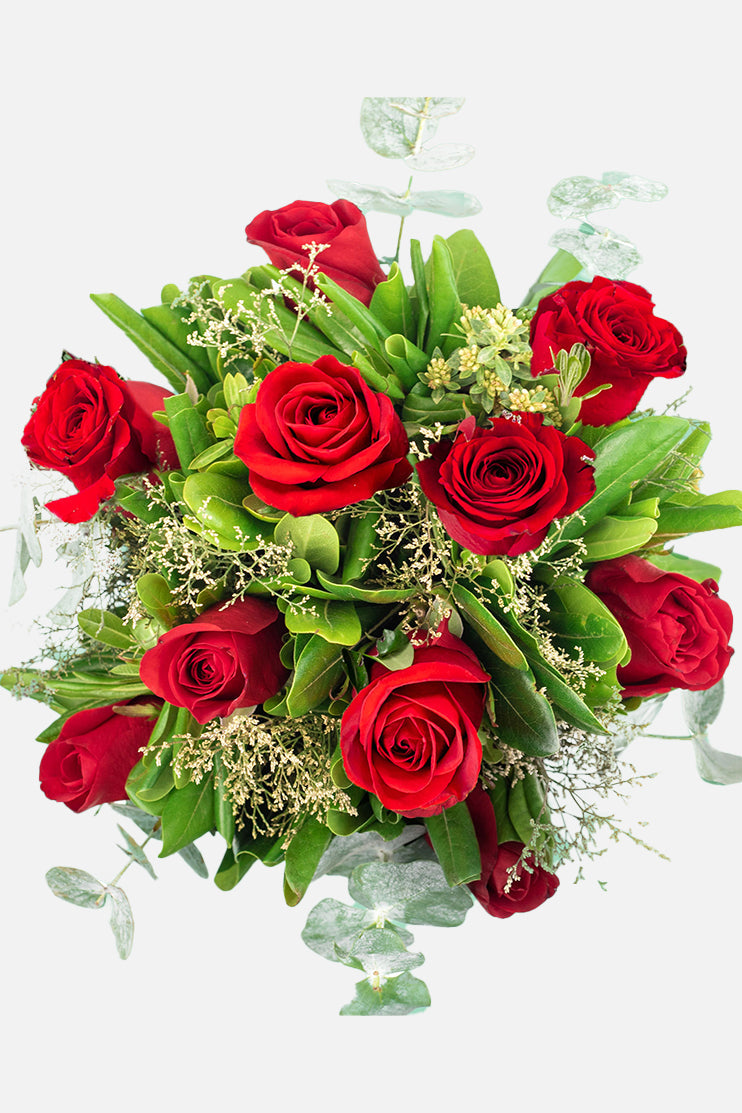 Amorcito // Rosa Roja