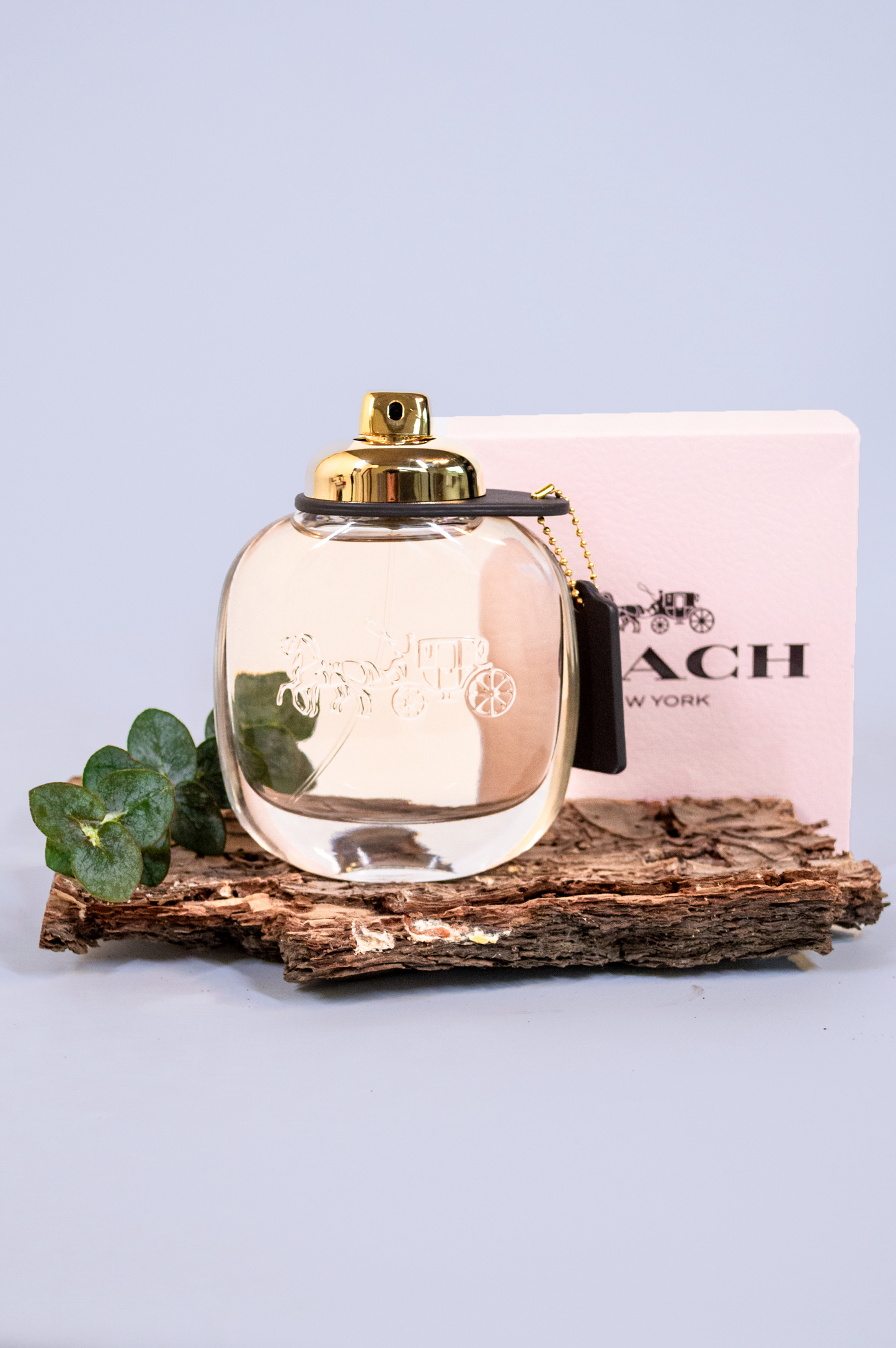 Coach – Eau de Parfum for Women