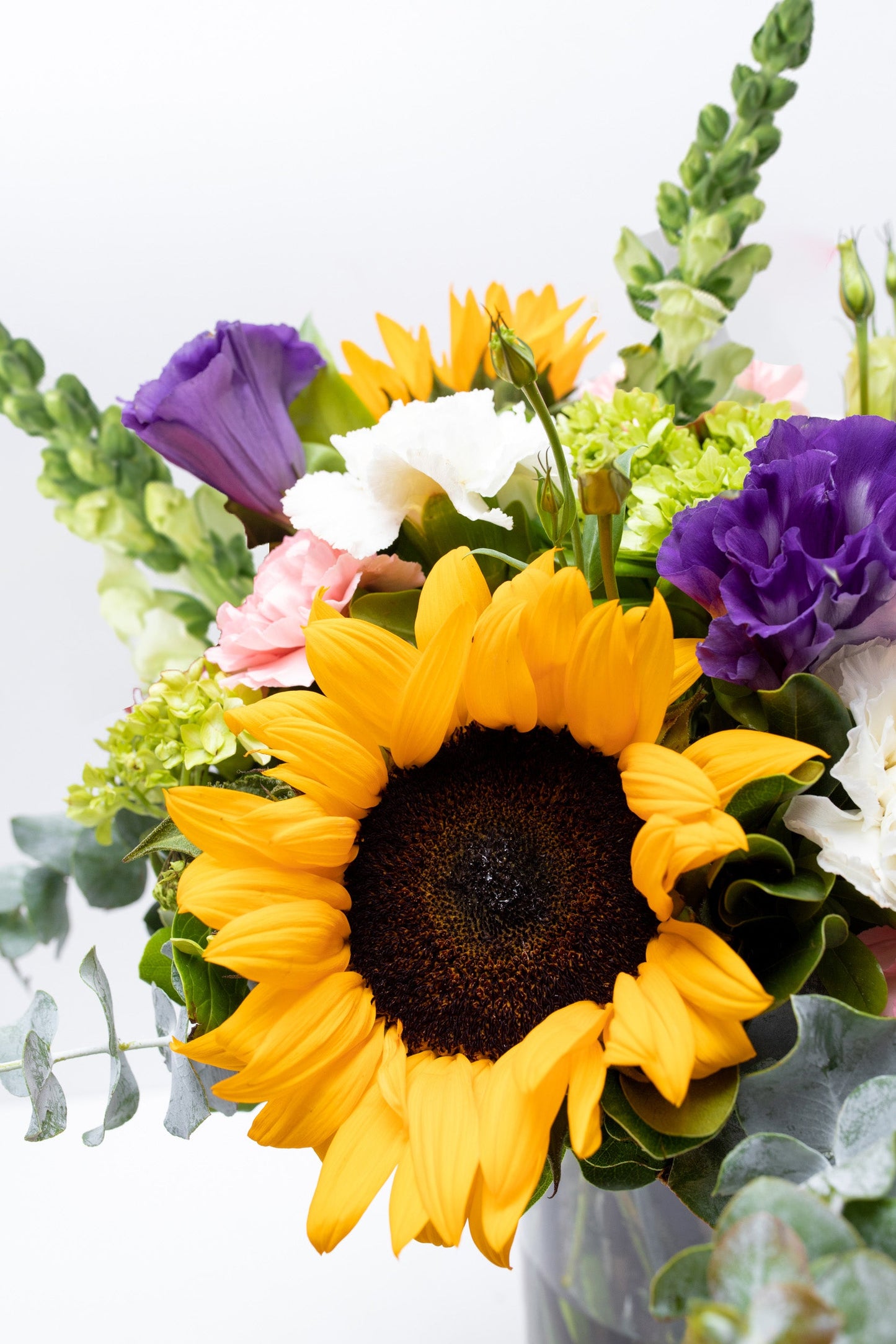 Emocionante - Girasol, Clavel Rosa y Blanco, Hortensia y Perrito VALLARTA