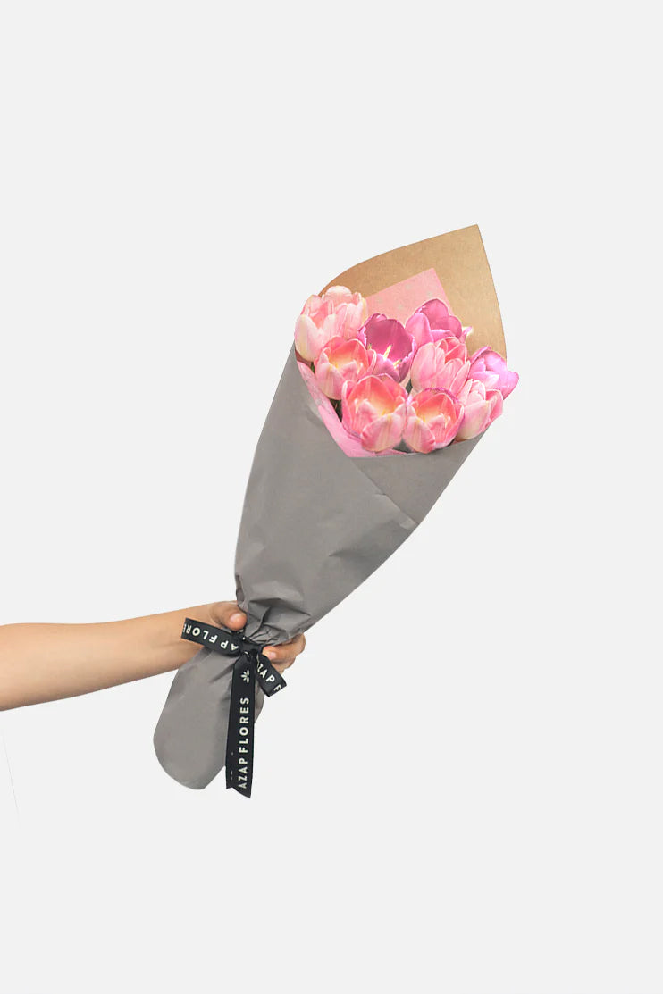 Encantadora - Tulipán Rosa QRO