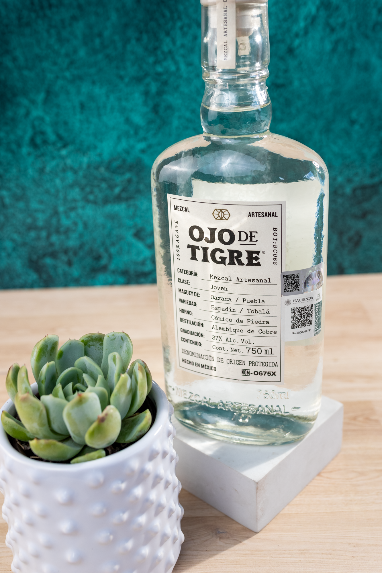Tiger's Eye Kit - Mezcal and Succulent