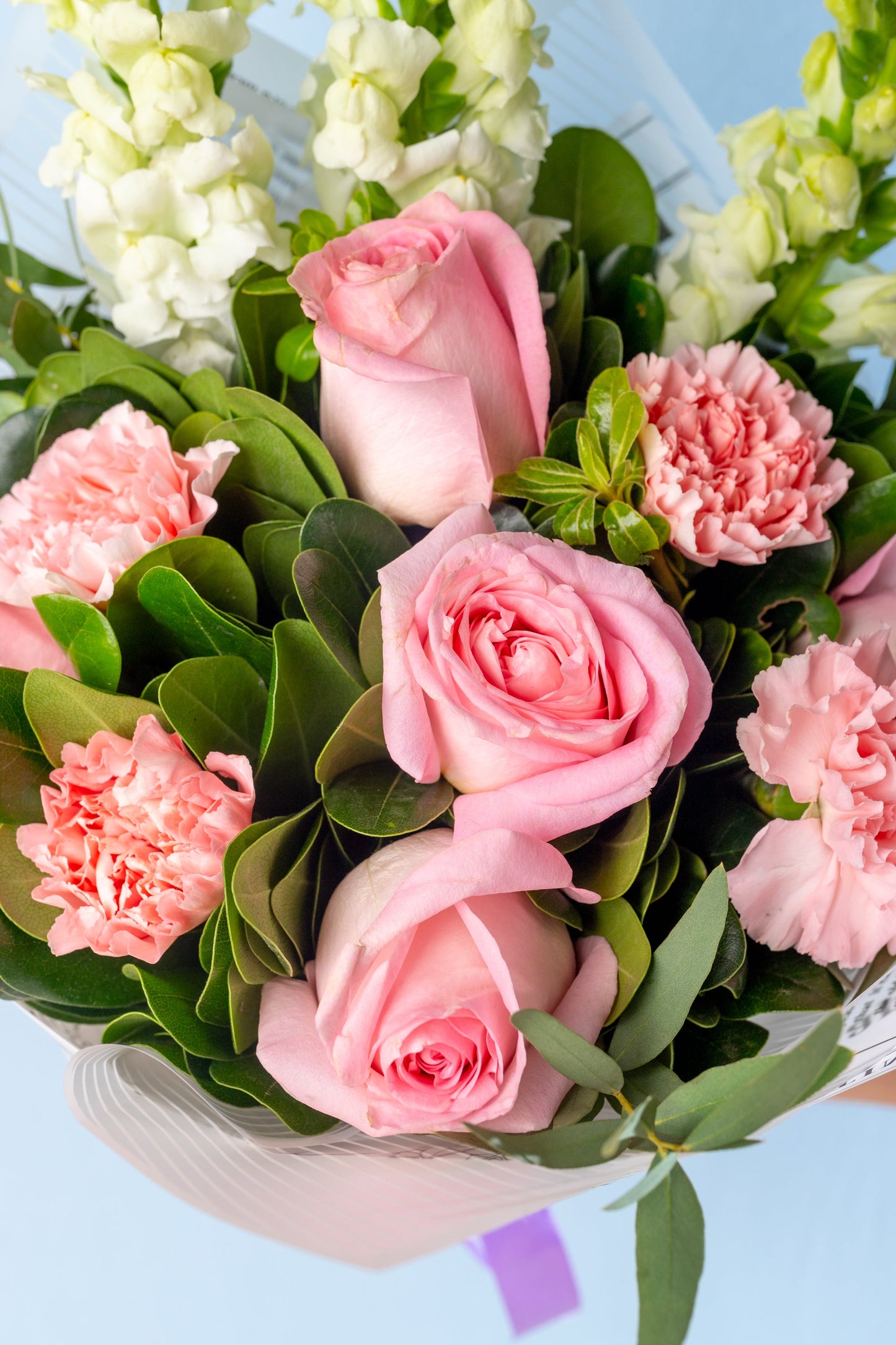 Pink Field Bouquet - Clear Rose, Pink Carnation and White Dog ENS