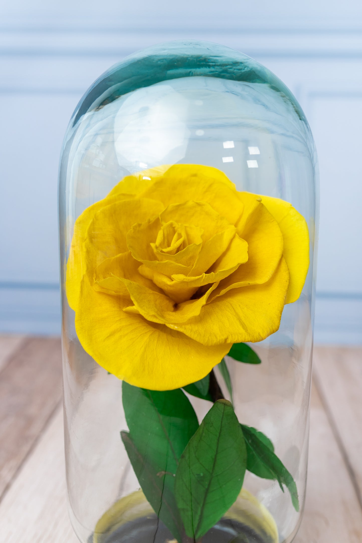 Rosa Amarilla - Eterna GDL