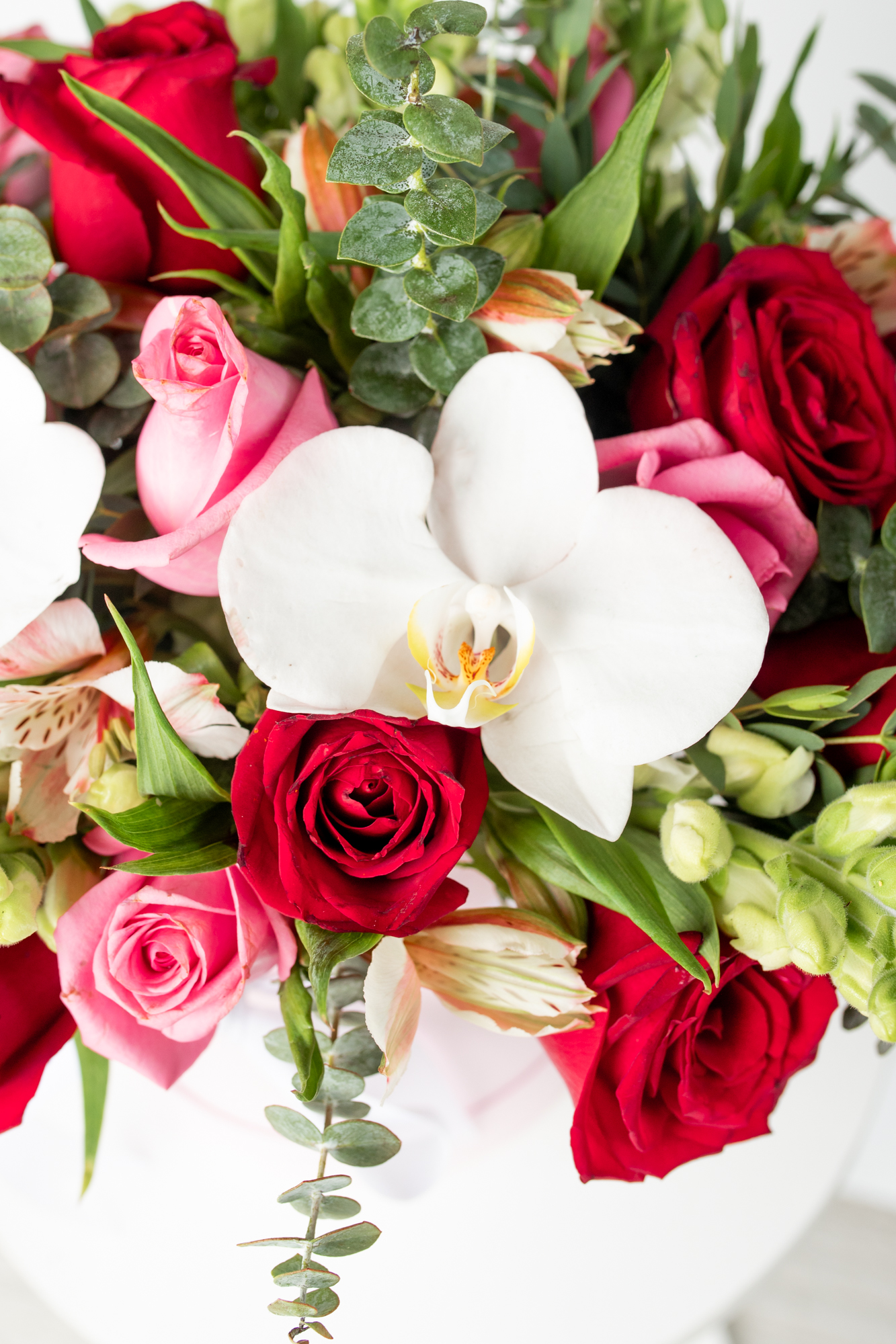 Destino - Caja de Rosas Rojas y Rosas con Orquídea