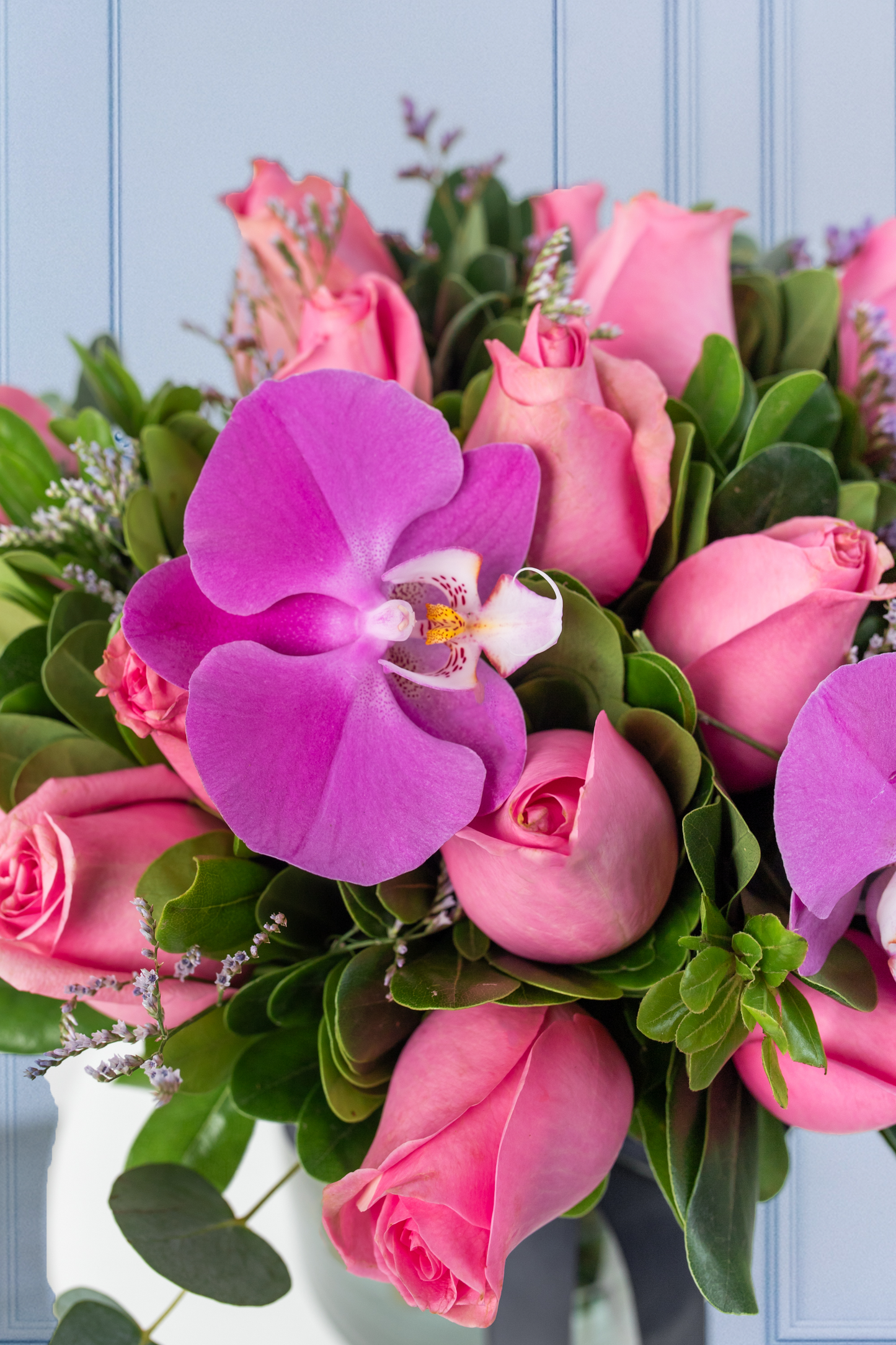 Nube Rosa - Rosa Clarita y Orquídea Morada VILLA