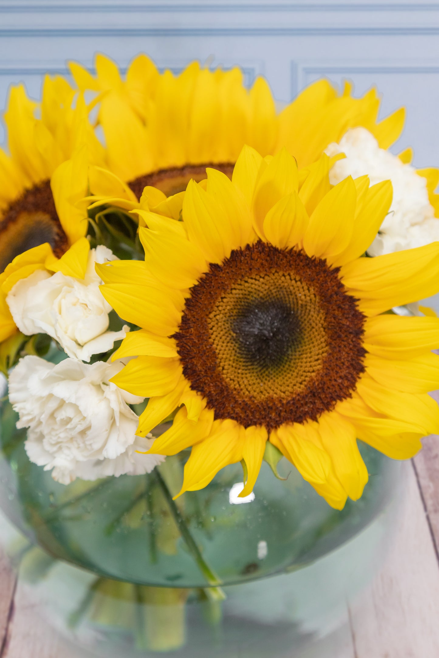 Centro de Mesa 5 - Girasol y Clavel Blanco