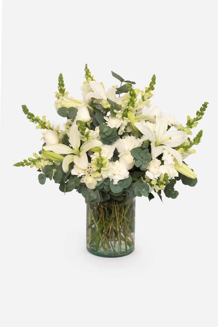 Luz Eterna - Lilium y Clavel Blanco MER