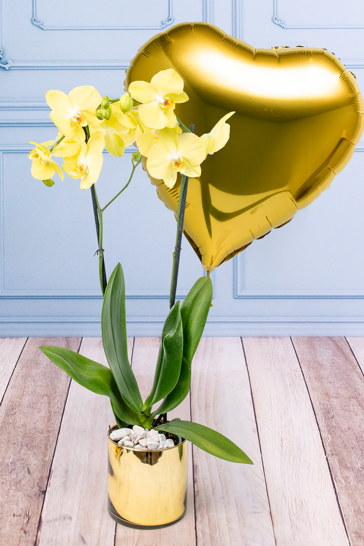 Globo Corazón Amarillo con Orquídea Amarilla - En Maceta Dorada | Azap 21S