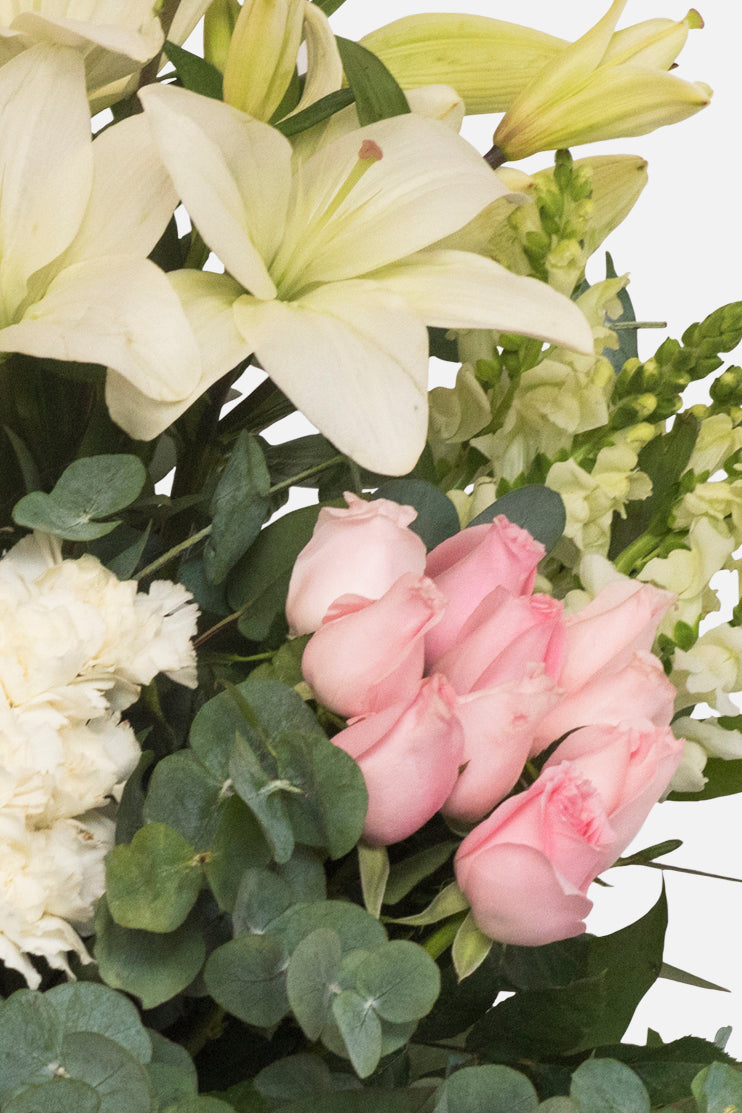 In Memoriam - Rosa Blanca y Clarita, Lilium y Hortensia MER