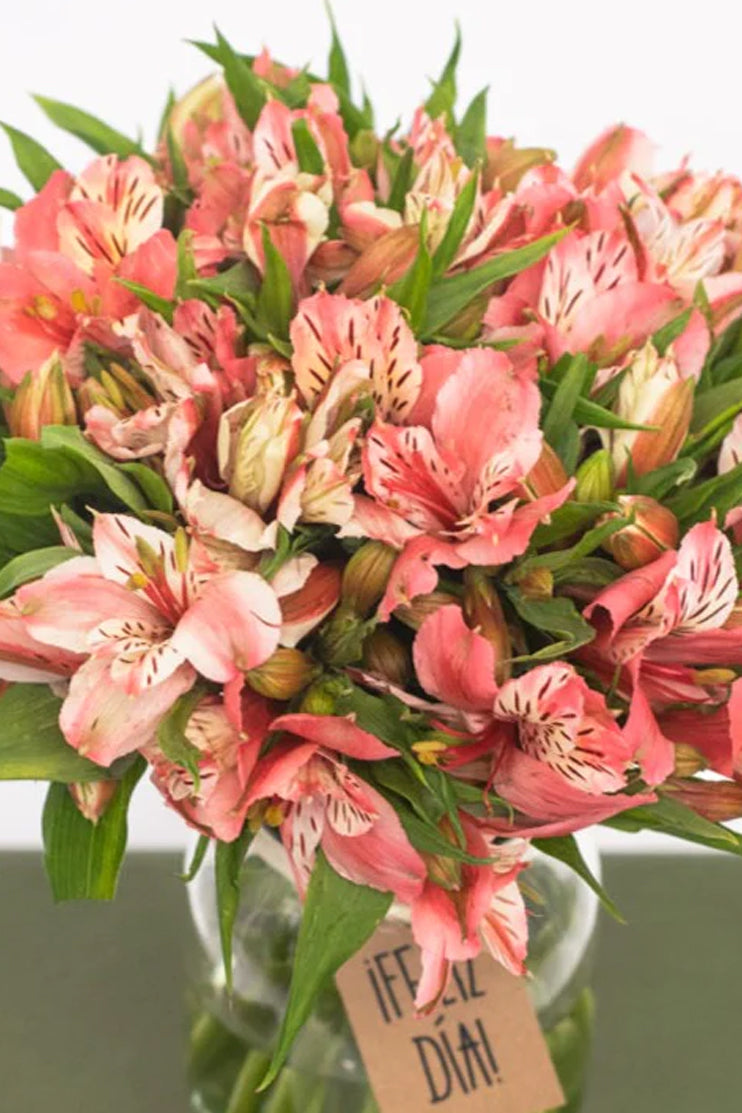 Arreglo de Astromelias // Flores