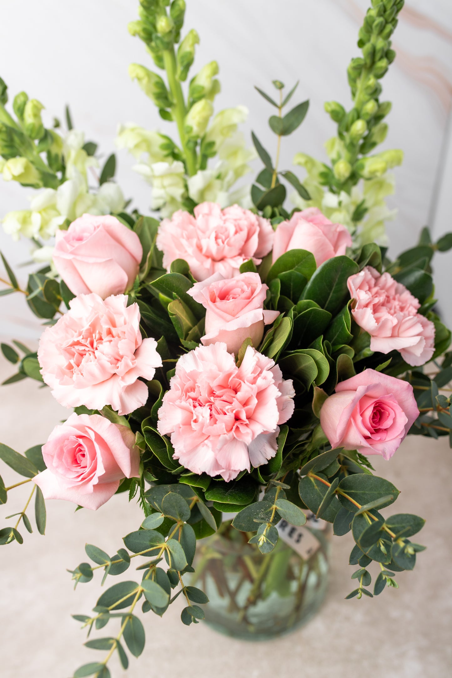 Campo Rosa / / Rosa Clarita y Clavel Rosa HMS