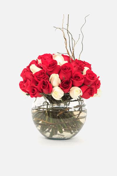 Burbujas de Amor - Rosa Roja y Blanca en Pecera