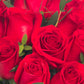 Amor con Rosas - Rosa Roja
