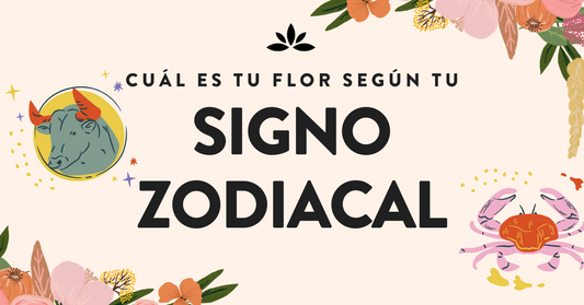 ¿Qué flor eres según tu Signo Zodiacal? | Azap Flores