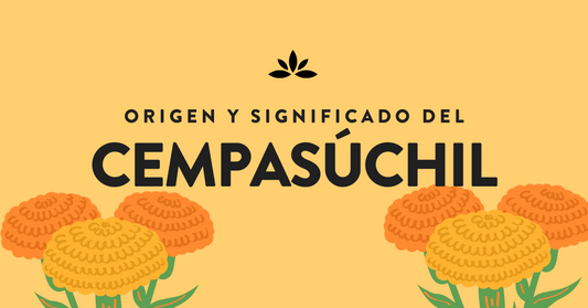 Origen y Significado del Cempasúchil