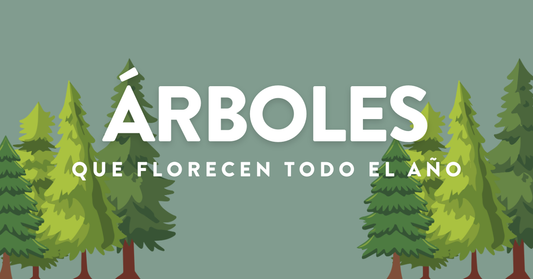 Árboles que Florecen todo el Año