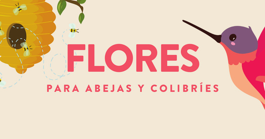 Flores para Abejas y Colibríes