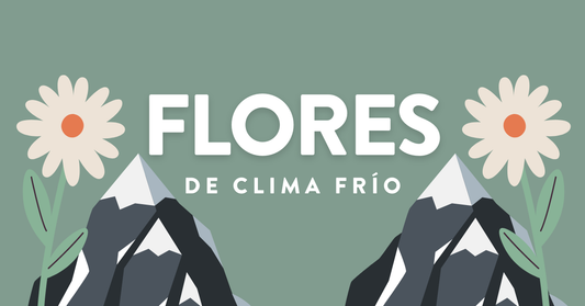 Flores de Clima Frio