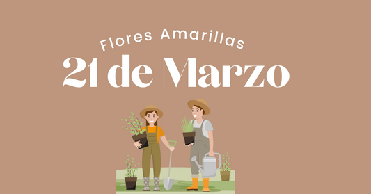 Flores Amarillas 21 de Marzo 