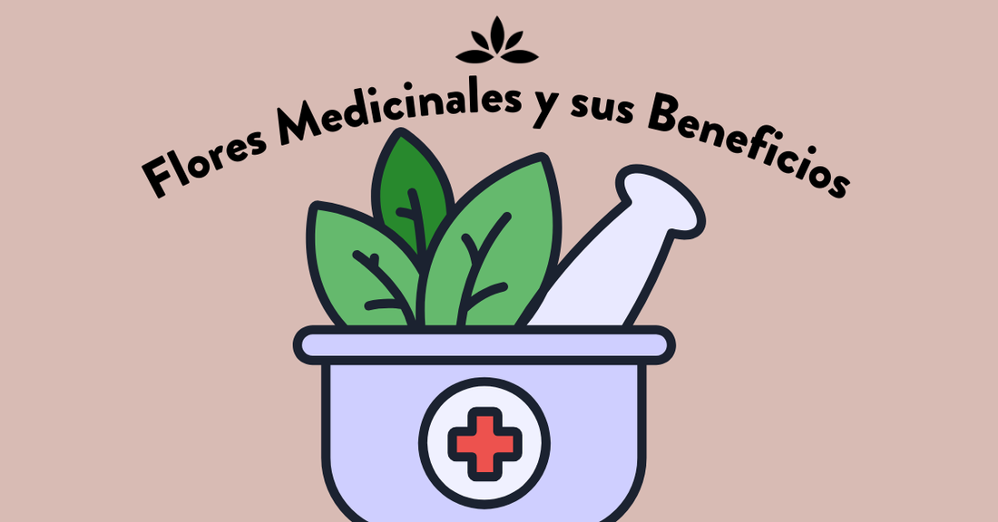 Flores Medicinales y sus Beneficios