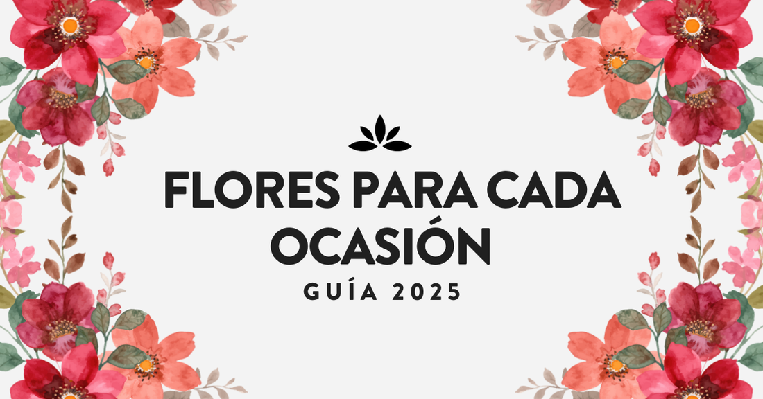 Flores para cada ocasión: guía 2025