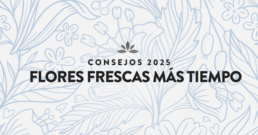 Flores frescas más tiempo: consejos 2025