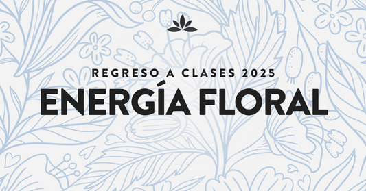 Regreso a clases 2025: energía floral
