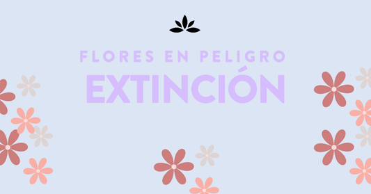 Flores en Peligro de Extinción