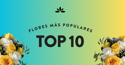 TOP 10 FLORES MÁS POPULARES