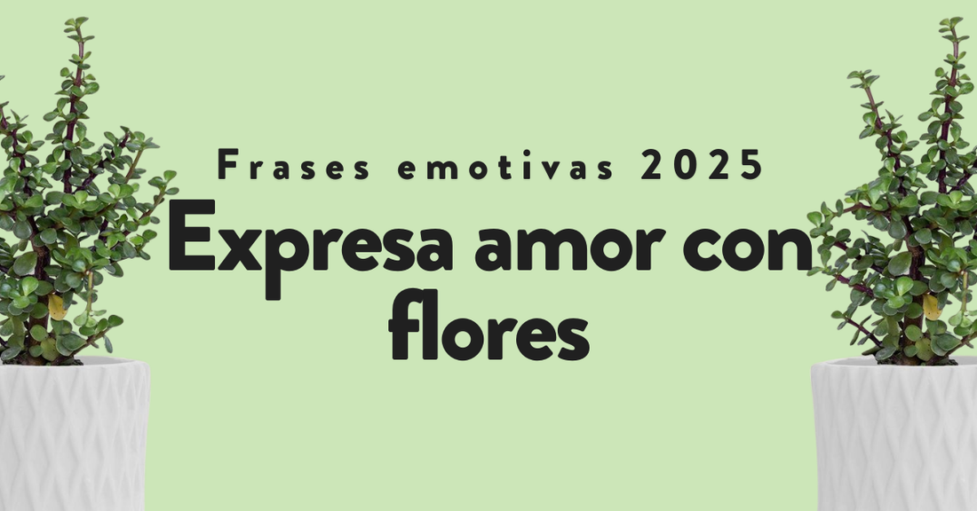 Frases emotivas 2025: expresa amor con flores