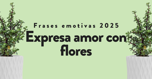 Frases emotivas 2025: expresa amor con flores