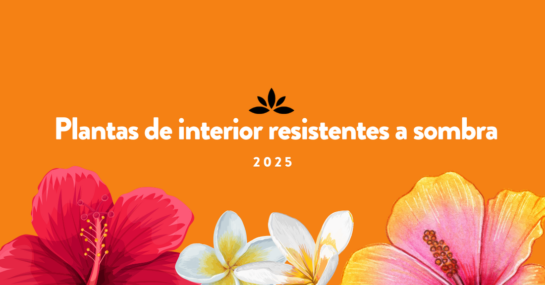 Plantas de interior resistentes a sombra 2025