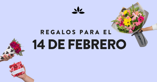 Regalos para el 14 de Febrero