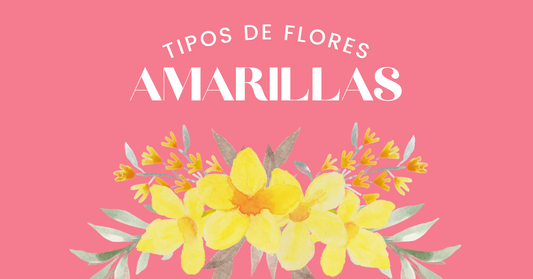 Tipos de Flores Amarillas 