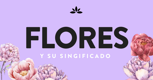 Flores y su Significado