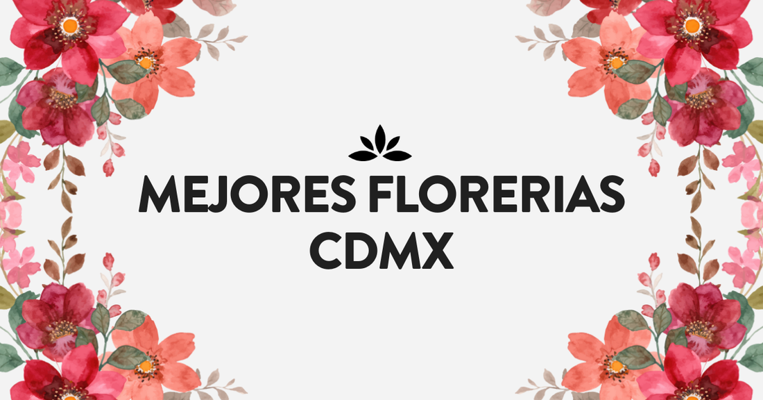 mejores florerías en CDMX
