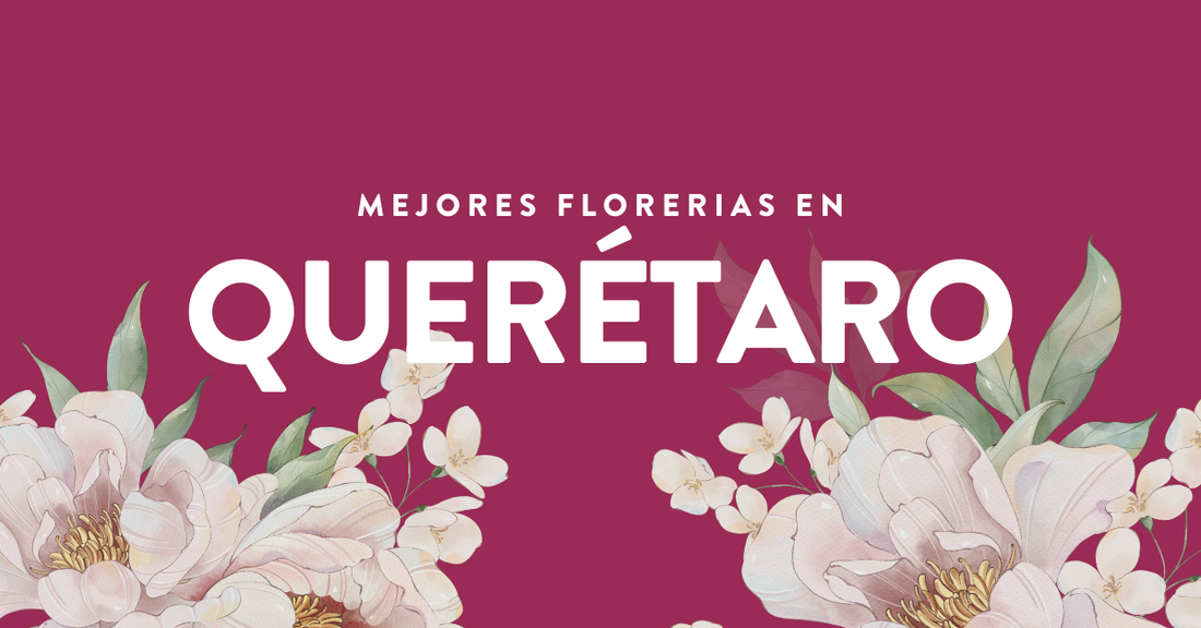 mejores florerías en Querétaro