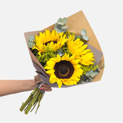 Girasoles a Domicilio en GDL