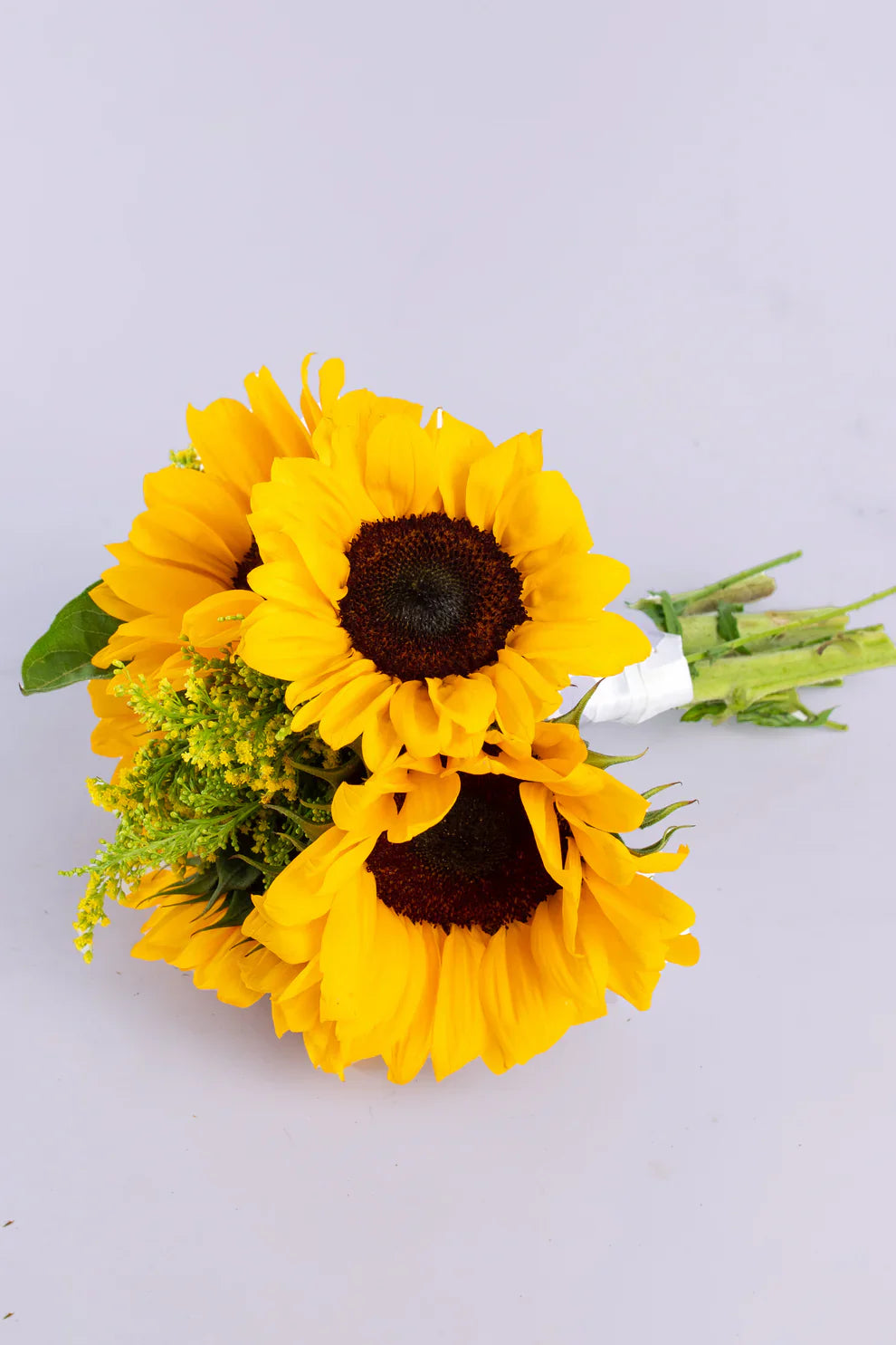 Girasoles en Tecámac