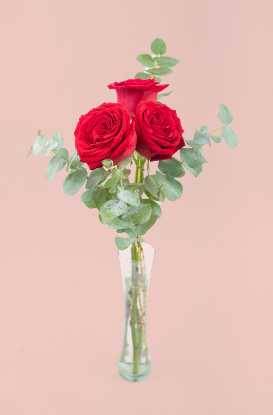 Arreglo para San Valentín Monterrey