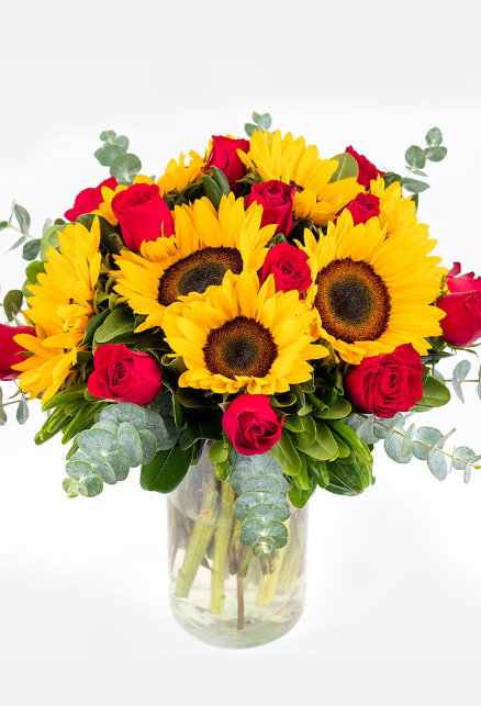 Flores Amarillas para Regalar 