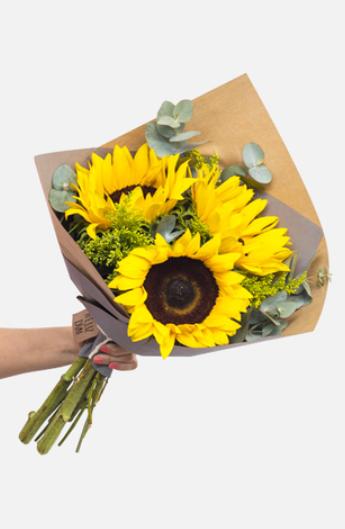 Girasoles a Domicilio en Querétaro