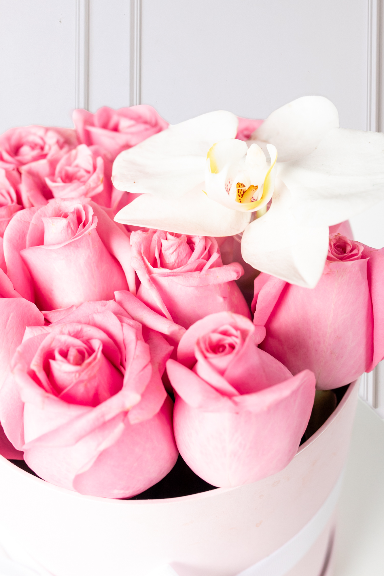 Rosas para mi Novia a Domicilio en Guadalajara